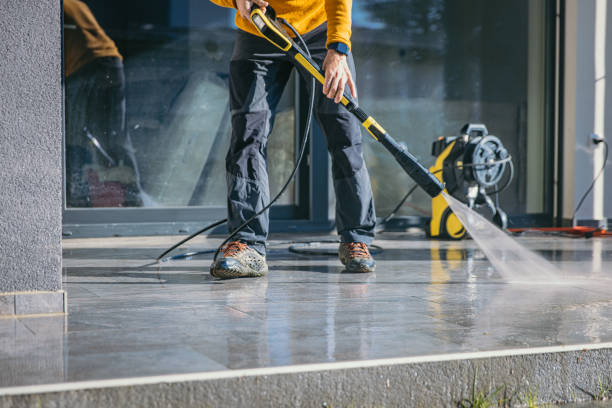 Best Soft Washing for Delicate Surfaces in Leland Grove, IL